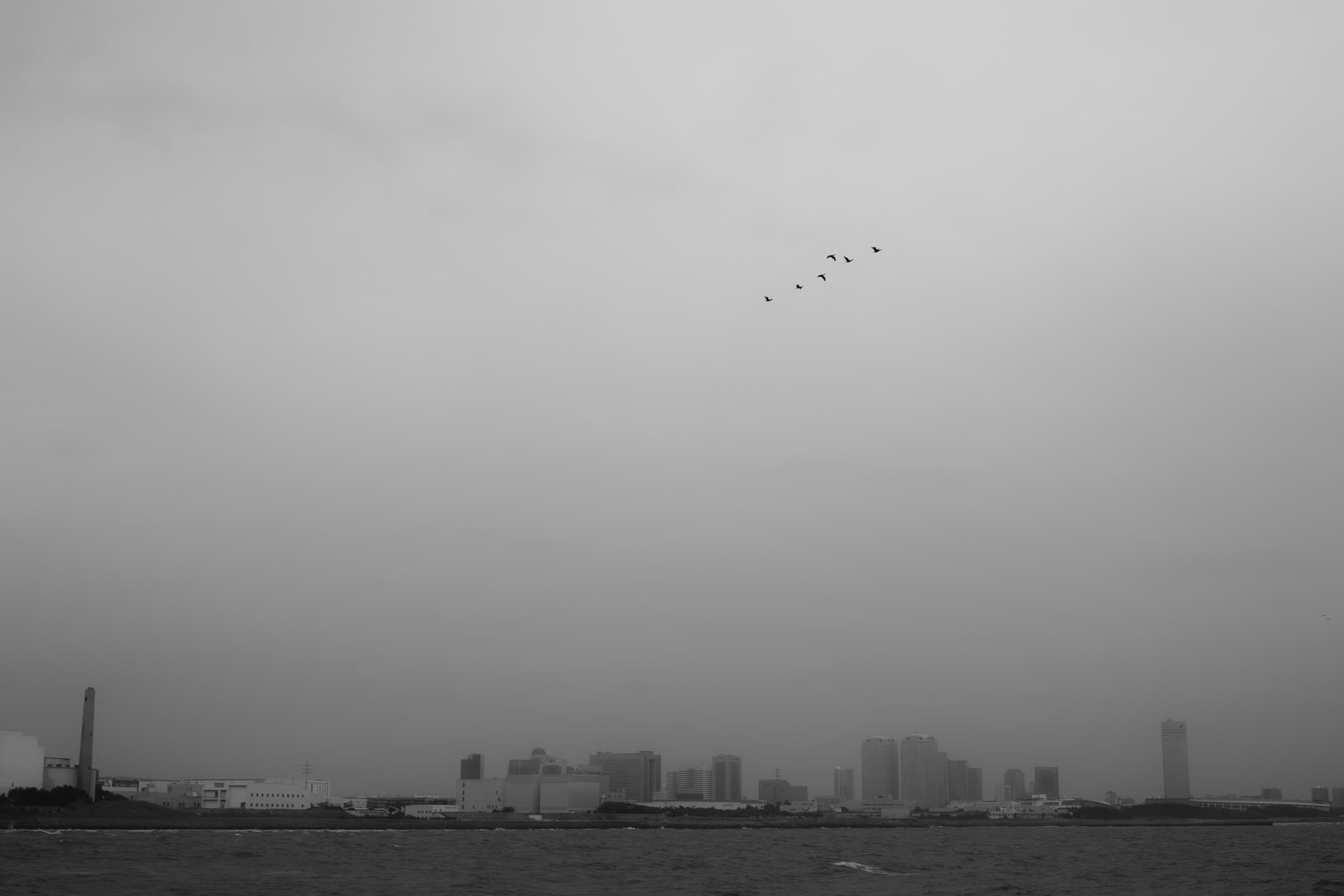 img20250529185038593920.jpg